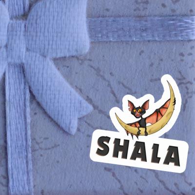 Autocollant Shala Chauve-souris Gift package Image