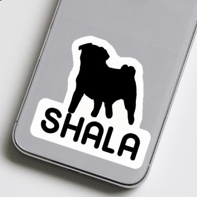 Shala Sticker Pug Image