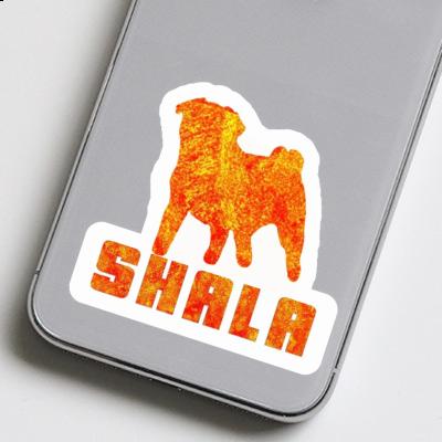 Sticker Shala Pug Image