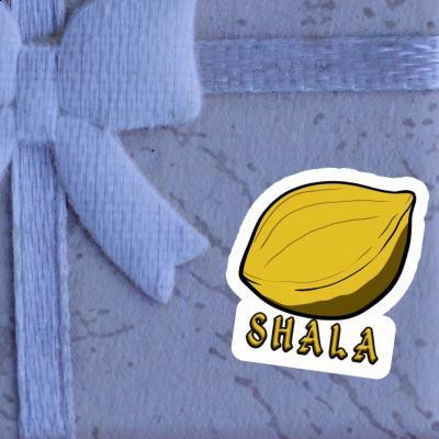 Shala Sticker Nuss Notebook Image