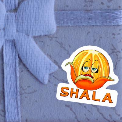 Orange Sticker Shala Laptop Image