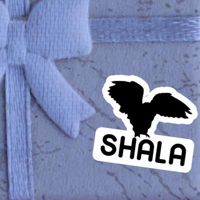 Shala Sticker Owl Laptop Image