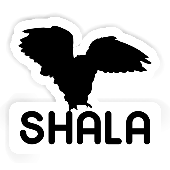 Sticker Owl Shala Image