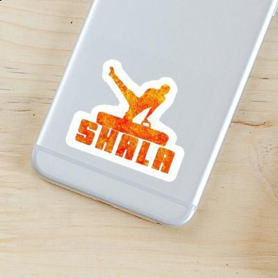 Shala Sticker Gymnast Gift package Image