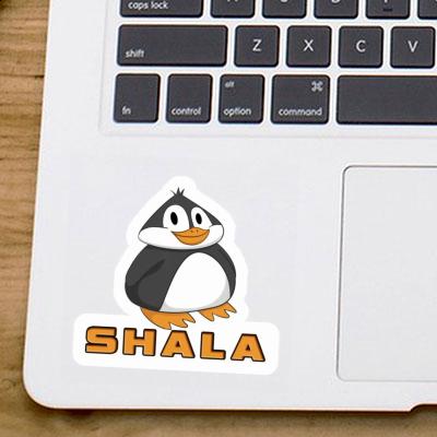 Sticker Shala Penguin Gift package Image