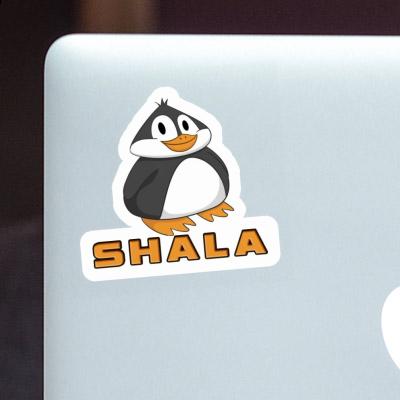 Shala Sticker Pinguin Gift package Image