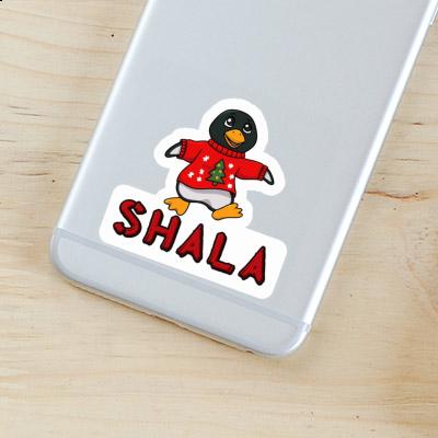 Autocollant Pingouin Shala Gift package Image