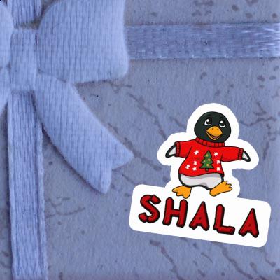 Autocollant Pingouin Shala Gift package Image