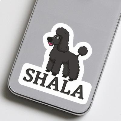 Sticker Poodle Shala Gift package Image