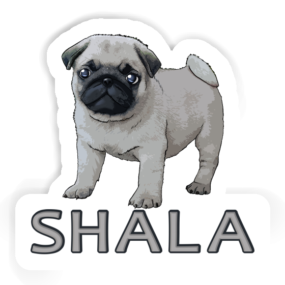 Shala Sticker Pug Gift package Image