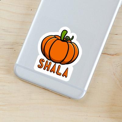 Sticker Pumpkin Shala Gift package Image