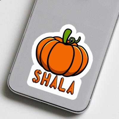 Sticker Pumpkin Shala Laptop Image