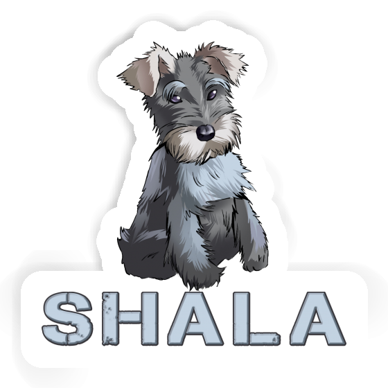 Autocollant Shala Schnauzer Image