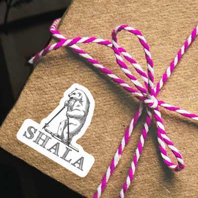 Aufkleber Shala Skifahrer Gift package Image