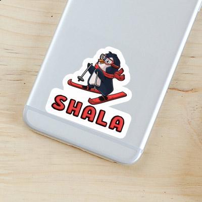 Sticker Skier Shala Gift package Image