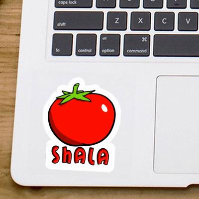 Tomato Sticker Shala Notebook Image