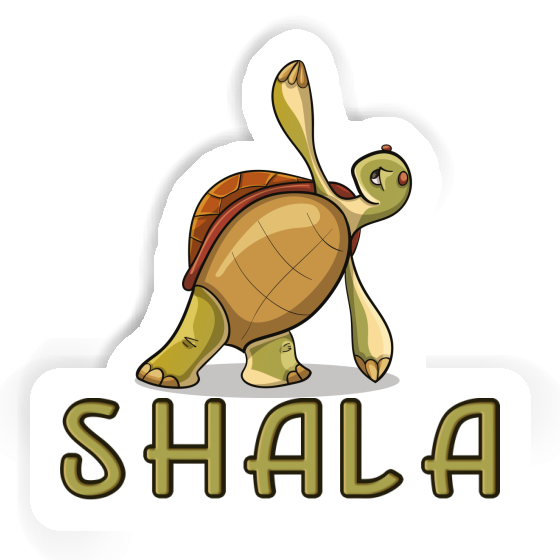 Shala Sticker Turtle Image