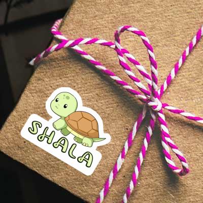 Aufkleber Shala Schildkröte Gift package Image