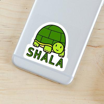 Turtle Sticker Shala Laptop Image