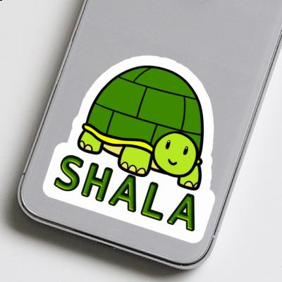 Shala Sticker Turtle Notebook Image