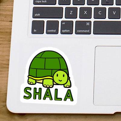 Shala Sticker Turtle Notebook Image