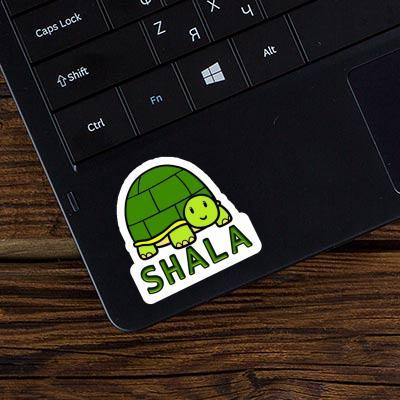 Shala Sticker Schildkröte Notebook Image