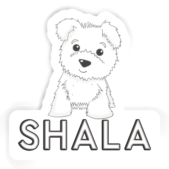 Sticker Terrier Shala Gift package Image