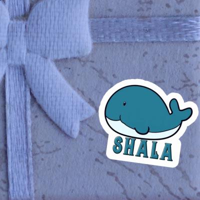 Autocollant Baleine Shala Image