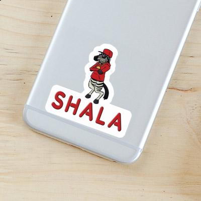 Sticker Shala Zebra Image