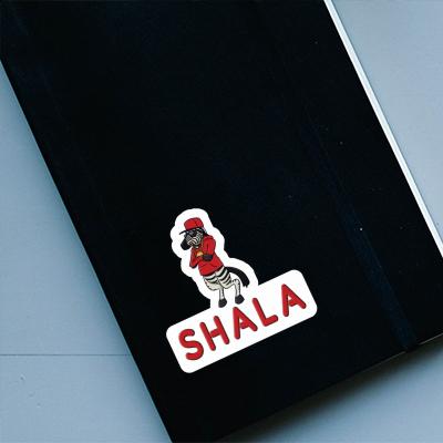 Sticker Shala Zebra Laptop Image