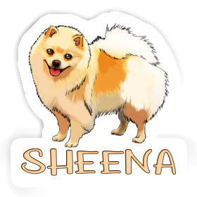 Autocollant Spitz allemand Sheena Image