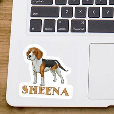 Sheena Autocollant Beagle Gift package Image