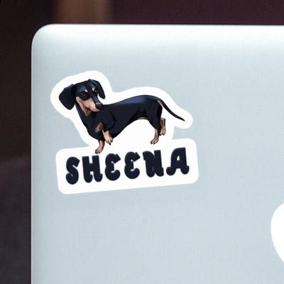 Teckel Autocollant Sheena Gift package Image