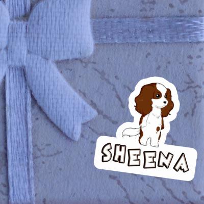 Sticker Sheena Cavalier King Charles Spaniel Gift package Image