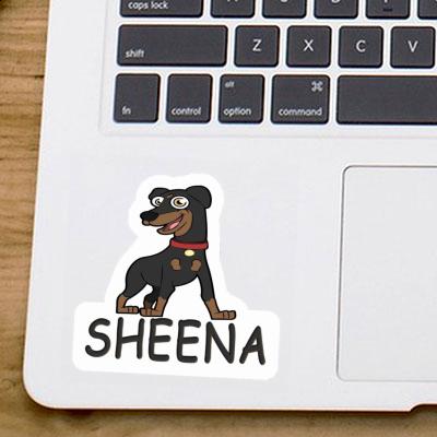 Sheena Aufkleber Pinscher Gift package Image