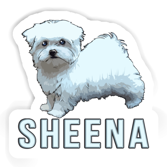 Sheena Autocollant Maltais Gift package Image