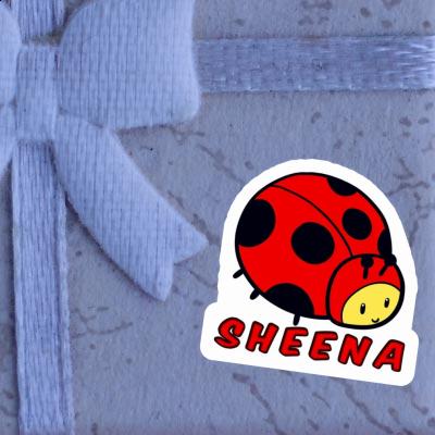 Marienkäfer Aufkleber Sheena Gift package Image