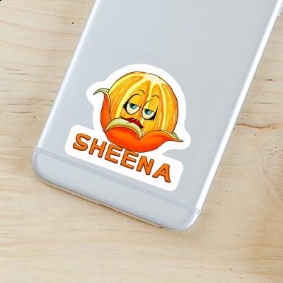Sheena Autocollant Orange Notebook Sheena Autocollant Orange Gift package Image