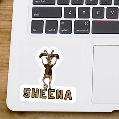 Capricorn Sticker Sheena Capricorn Sticker Sheena Image