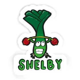 Shelby Aufkleber Lauch Image