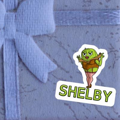 Autocollant Kiwi Shelby Notebook Autocollant Kiwi Shelby Gift package Image