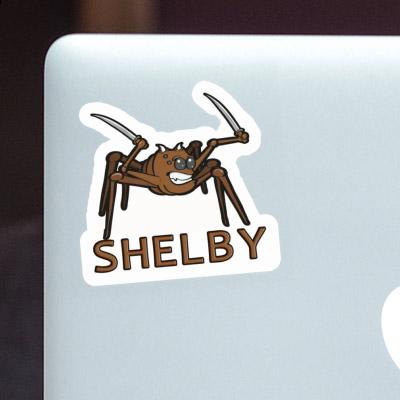 Shelby Autocollant Araignée de combat Notebook Shelby Autocollant Araignée de combat Gift package Image