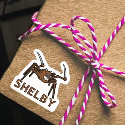 Shelby Autocollant Araignée de combat Notebook Shelby Autocollant Araignée de combat Gift package Image