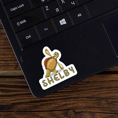Tortue yoga Autocollant Shelby Laptop Tortue yoga Autocollant Shelby Laptop Image