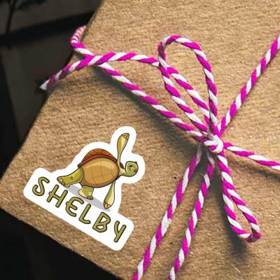 Tortue yoga Autocollant Shelby Notebook Tortue yoga Autocollant Shelby Gift package Image