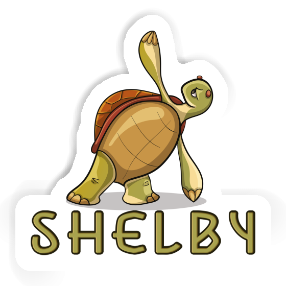 Tortue yoga Autocollant Shelby Notebook Tortue yoga Autocollant Shelby Gift package Image