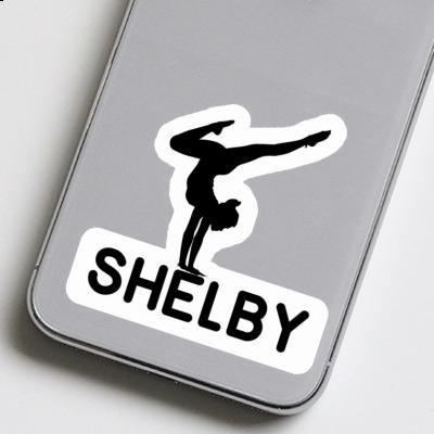 Autocollant Shelby Femme de yoga Notebook Autocollant Shelby Femme de yoga Gift package Image