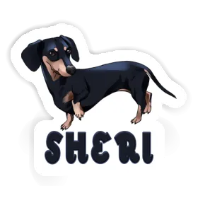 Sheri Autocollant Teckel Image
