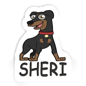 Autocollant Sheri Pinscher Image