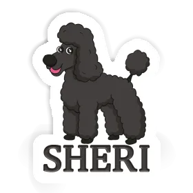 Autocollant Sheri Caniche Image